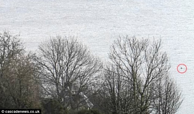 Hàng loạt hình ảnh xuất hiện trong năm 2016 củng cố niềm tin rằng quái vật hồ Loch Ness có thật! - Ảnh 5.