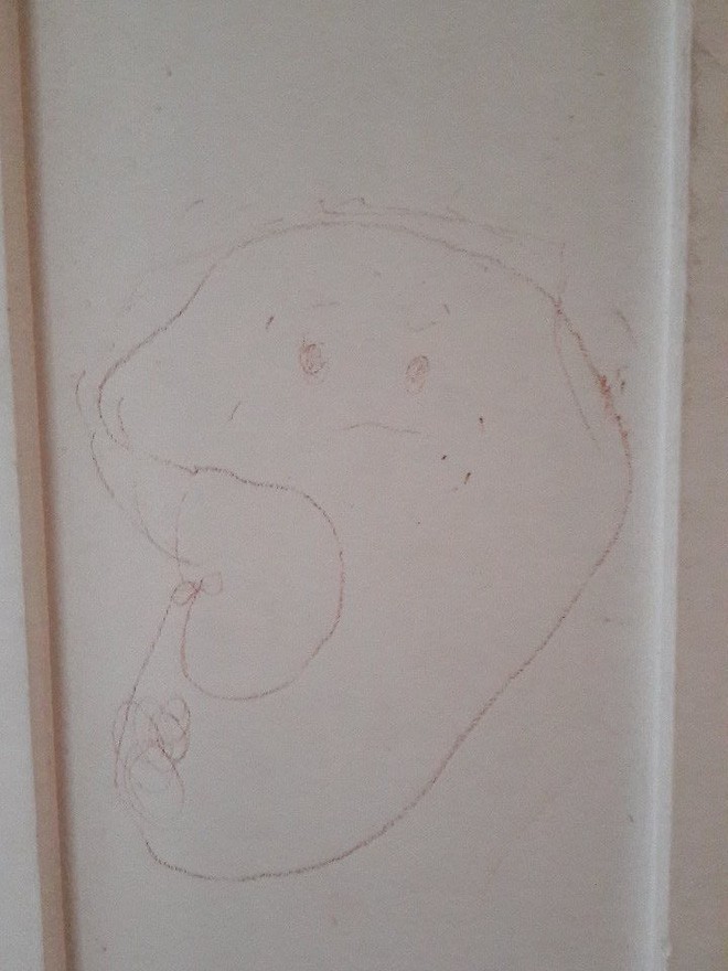 Con trai vẽ bậy lên tường và phản ứng bất ngờ của bà mẹ đã khiến ai cũng phải ôm bụng cười - Ảnh 9.