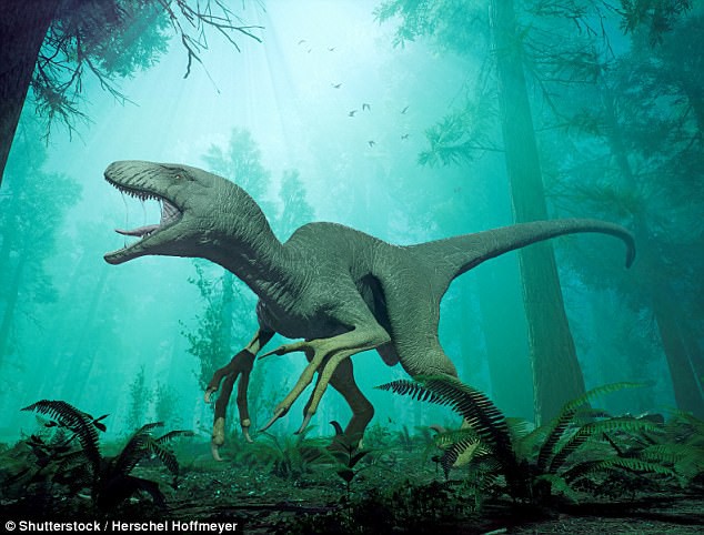 Tìm thấy xác ướp giống khủng long được bảo quản nguyên vẹn, phần thịt vẫn còn trên cơ thể - Ảnh 2.