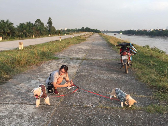 Sống với 20 chú chó, chàng trai “lượm” được vợ cách 2000km nhờ chăm chỉ comment dạo - Ảnh 10.