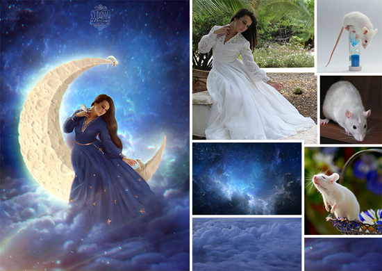 Mắt tròn mắt dẹt với bộ ảnh vi diệu của thánh Photoshop - Ảnh 8. Mắt tròn mắt dẹt với bộ ảnh vi diệu của thánh Photoshop - Ảnh 8.