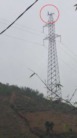 Phú Thọ: Một người đàn ông đang đứng trên đỉnh cột điện cao thế suốt nhiều giờ liền - Ảnh 2.