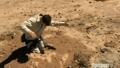 Giải mã một trong những cái chết đáng sợ nhất lịch sử: cát lún - Ảnh 4.