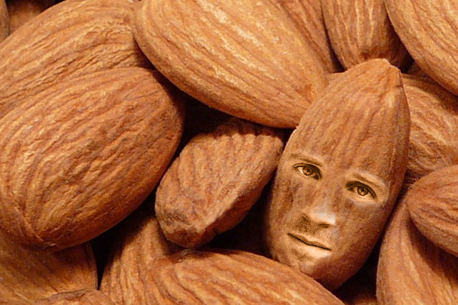 ralph-as-an-almond-1485209856488.jpg