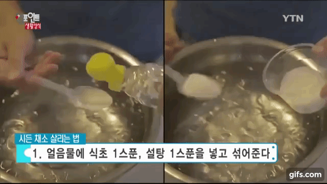 Rau đ&atilde; bị h&eacute;o vẫn c&oacute; thể tươi lại ngay nếu l&agrave;m theo c&aacute;ch n&agrave;y - Ảnh 1.