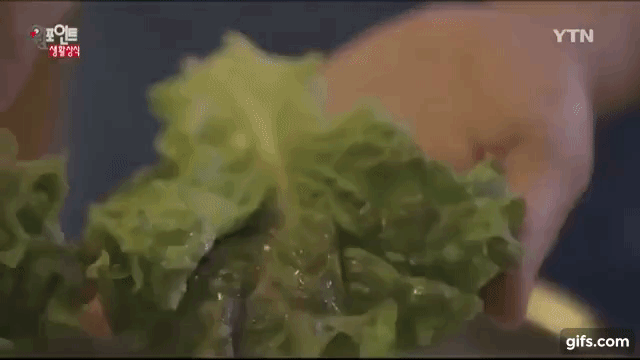 Rau đ&atilde; bị h&eacute;o vẫn c&oacute; thể tươi lại ngay nếu l&agrave;m theo c&aacute;ch n&agrave;y - Ảnh 7.