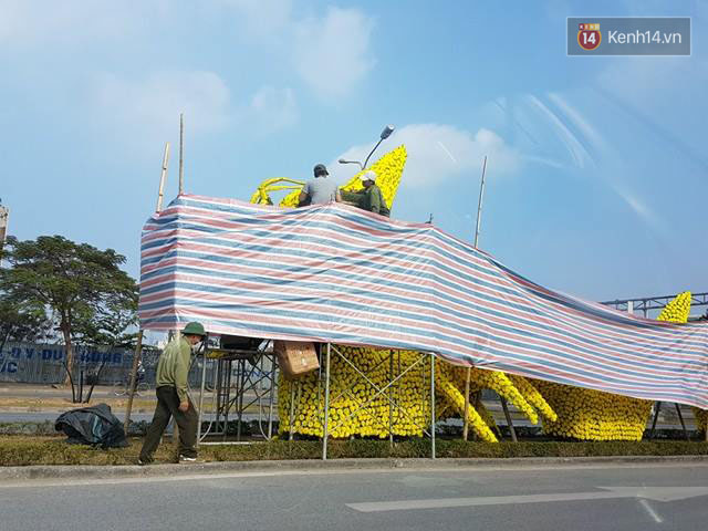 Hải Phòng chỉ đạo tháo gỡ hoa vàng trên hình con rồng gây tranh cãi ở đường Lê Hồng Phong - Ảnh 2.