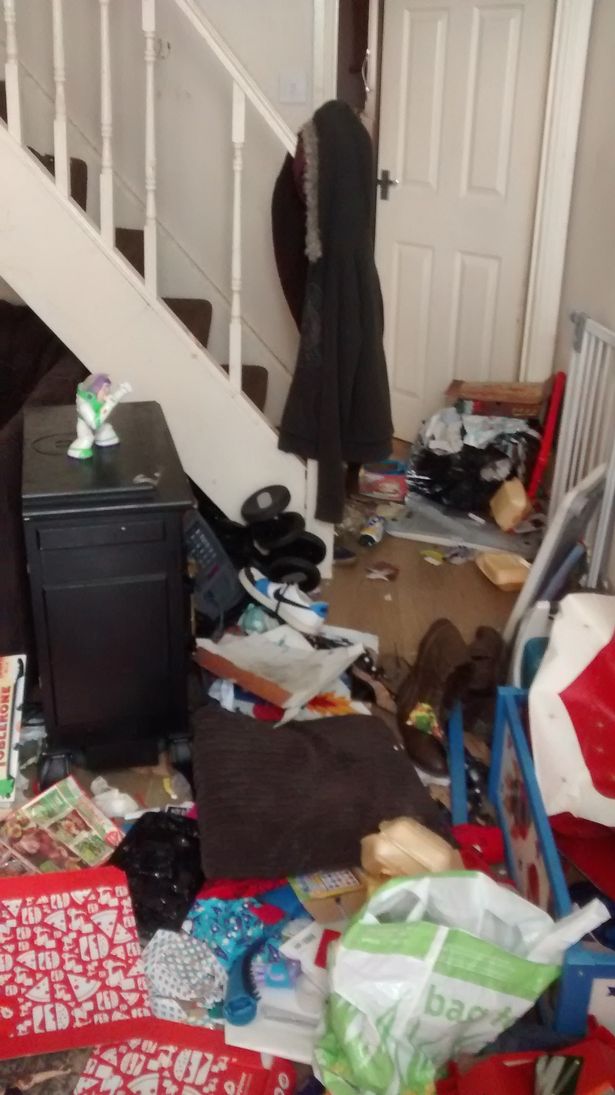 Video: Khung cảnh kinh hoàng bên trong căn nhà nơi 2 chú chó bị bỏ đói tới chết - Ảnh 4.