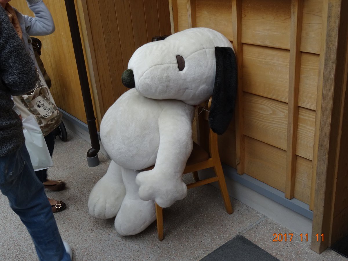 Thăm trà quán Snoopy mới được khai trương tại xứ hoa anh đào - Ảnh 25. Thăm trà quán Snoopy mới được khai trương tại xứ hoa anh đào - Ảnh 25.