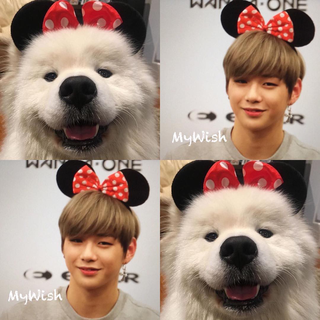 Vài tháng ra mắt đã khuynh đảo châu Á, center quốc dân Kang Daniel có gì đặc biệt mà hot đến vậy? - Ảnh 36.
