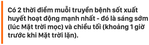 Đây là 2 thời điểm trong ngày bạn cần phải chú ý nhất khi dịch sốt xuất huyết đang báo động đỏ như hiện nay - Ảnh 2.