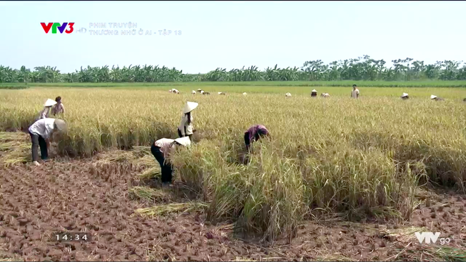 Thương nhớ ở ai tập 13: Hạnh đòi ra ngoài đồng ở với Nghĩa nếu các cụ không đồng ý - Ảnh 1.