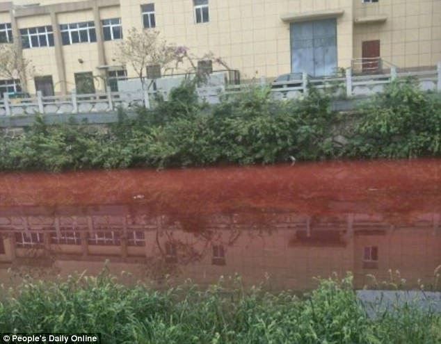 Dòng sông ở Trung Quốc chuyển màu máu như trong phim kinh dị - Ảnh 4.