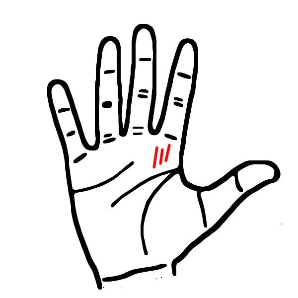 Điểm danh 3 kiểu đường chỉ tay b&aacute;o hiệu bạn sẽ ph&aacute;t triển sự nghiệp tốt nếu xuất ngoại - Ảnh 1.