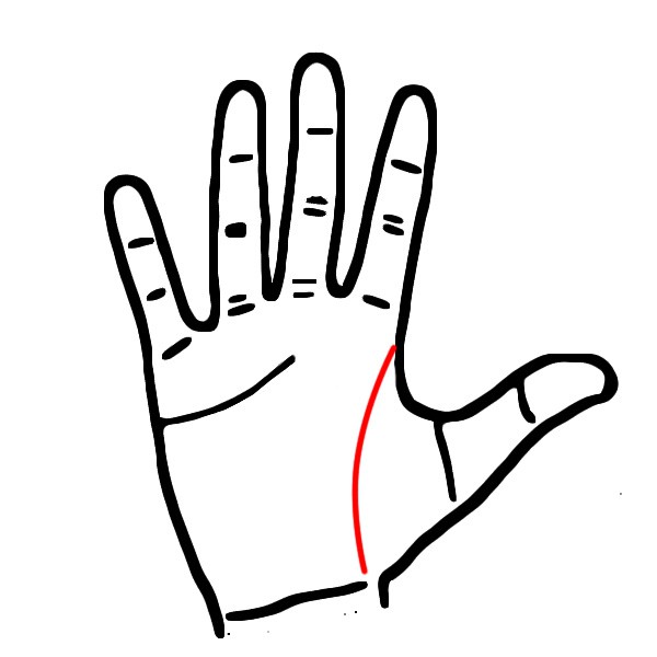 Điểm danh 3 kiểu đường chỉ tay b&aacute;o hiệu bạn sẽ ph&aacute;t triển sự nghiệp tốt nếu xuất ngoại - Ảnh 5.