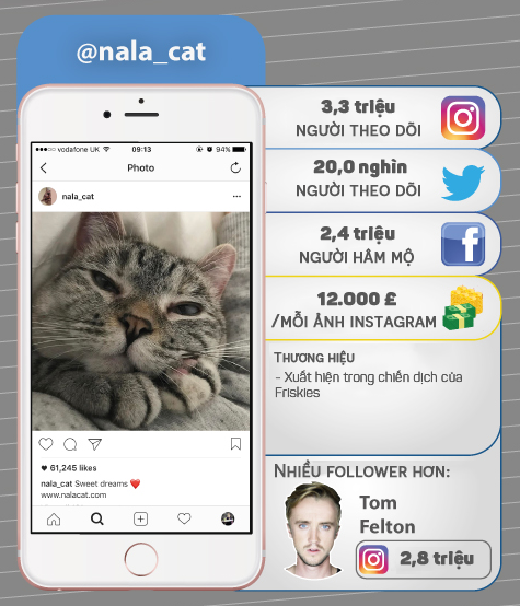 7 thú cưng cute lạc lối nổi đình đám trên Instagram nhất định bạn nên ghé thăm - Ảnh 2.