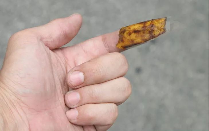 Tội gì phải lấy kim khều dằm cho đau khi đã có 5 mẹo sau - Ảnh 3. Tội gì phải lấy kim khều dằm cho đau khi đã có 5 mẹo sau - Ảnh 3.