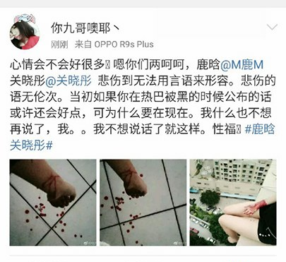 Sốc: Quá đau lòng, loạt fan cuồng người nhảy lầu, kẻ cắt tay tự sát sau khi Luhan hẹn hò với mỹ nhân 9X - Ảnh 4.