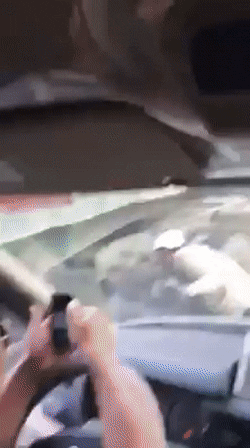 Kinh h&atilde;i cảnh xe m&aacute;y chui dưới gầm xe container để sang đường - Ảnh 1.