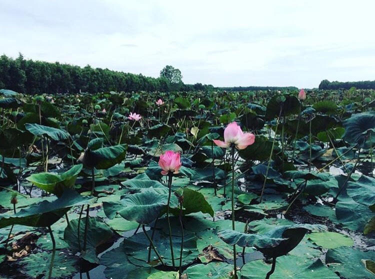 Thu sang, tạm gác lá vàng mà hãy thử về với miền Tây đón mùa nước nổi - Ảnh 21.