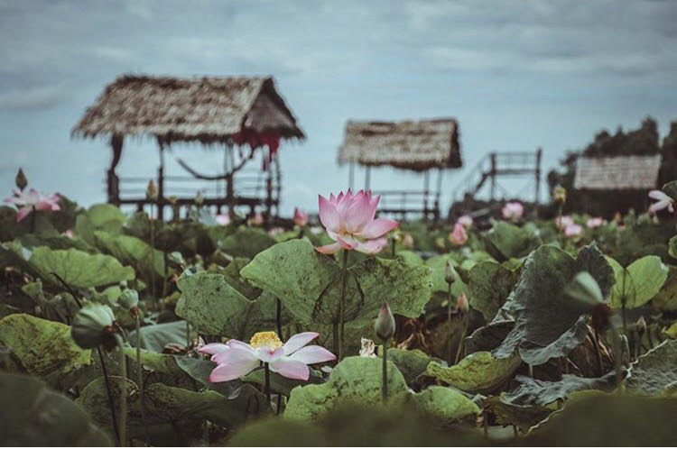 Thu sang, tạm gác lá vàng mà hãy thử về với miền Tây đón mùa nước nổi - Ảnh 22.