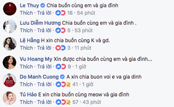 Á hậu Hoàng My và loạt sao Việt gửi lời chia buồn khi hay tin ông của Lan Khuê qua đời - Ảnh 2.