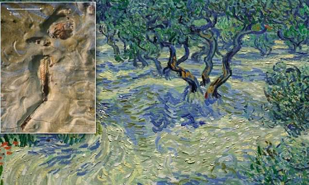 Bức tranh nổi tiếng này của Van Gogh ẩn chứa 1 bí ẩn mà chẳng ai hay biết cho đến hôm nay - Ảnh 3.