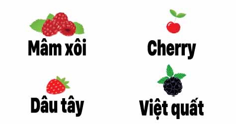 Chỉ 1% trong 7 tỷ người mới giải được c&acirc;u đố chia b&aacute;nh cupcake si&ecirc;u khoai - Ảnh 2.