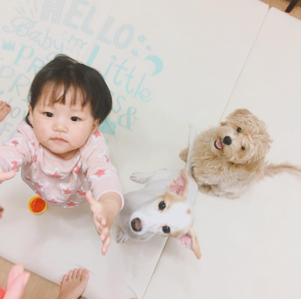 Em bé 3 tuổi khiến dân tình rụng tim vì quá đáng yêu - Ảnh 9.