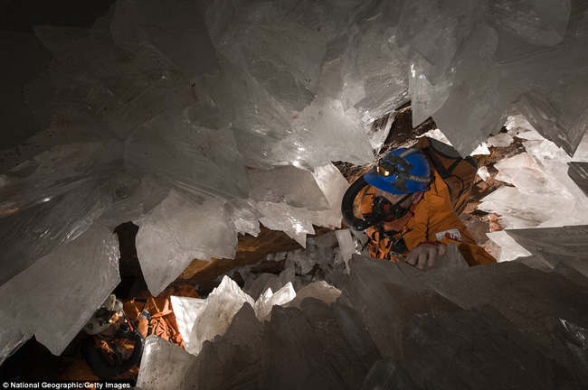 Chuyên gia NASA phát hiện sinh vật kỳ lạ sống thọ 50.000 năm trong hang động ở Mexico - Ảnh 2.