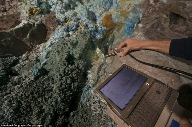 Chuyên gia NASA phát hiện sinh vật kỳ lạ sống thọ 50.000 năm trong hang động ở Mexico - Ảnh 4.