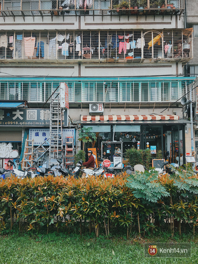 Thử làm thổ địa một ngày để trải nghiệm mọi kiểu ăn uống, mọi điểm vui chơi của giới trẻ Đài Bắc - Ảnh 15.