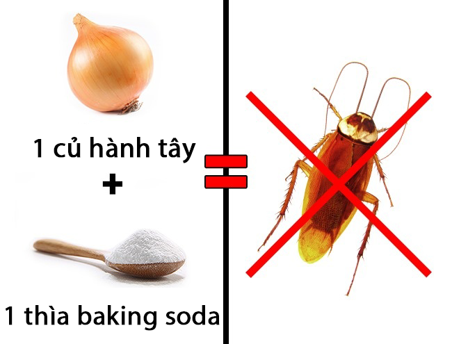 M&aacute;ch bạn 3 mẹo an to&agrave;n gi&uacute;p bạn trừ khử mấy con c&ocirc;n tr&ugrave;ng đ&aacute;ng gh&eacute;t - Ảnh 1.