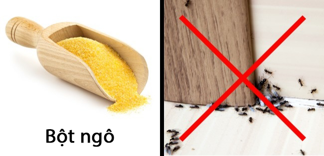 M&aacute;ch bạn 3 mẹo an to&agrave;n gi&uacute;p bạn trừ khử mấy con c&ocirc;n tr&ugrave;ng đ&aacute;ng gh&eacute;t - Ảnh 3.