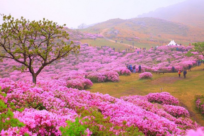 Thì ra vị HLV đáng kính của U23 Việt Nam Park Hang Seo từng sinh ra và lớn lên ở một vùng quê đẹp và yên bình đến vậy - Ảnh 8.