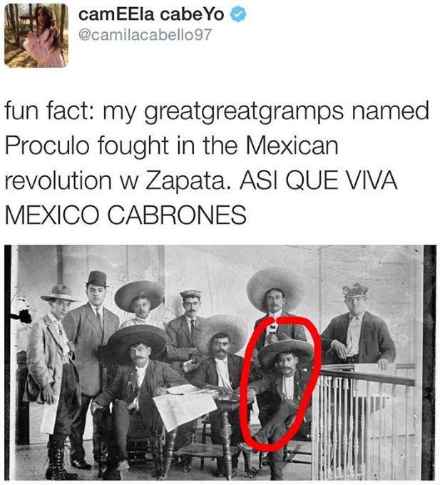 15 sự thật thú vị về Camila Cabello - chủ nhân hit Havana, hiện tượng mới của làng nhạc thế giới - Ảnh 14.