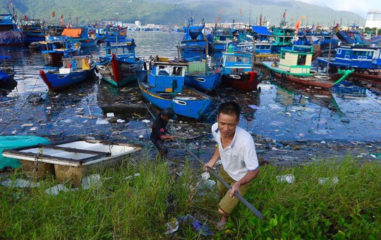Bịt mũi vào cảng cá lớn nhất miền Trung nước đen ngòm, bốc mùi hôi thối - Ảnh 3.