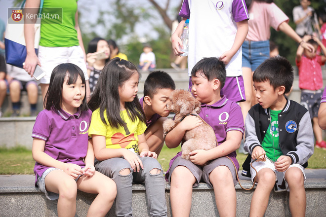 Làm gạch từ túi ni lông, không sử dụng chai nhựa 1 lần... học sinh ngày nay biết nghĩ cho môi trường đến mức người lớn cũng phải ghen tỵ - Ảnh 10.