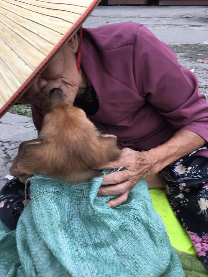 Cụ bà nhiều tuổi mắc bệnh nên phải bán chó con, cho người khác nuôi chó mẹ vì không nuôi nổi - Ảnh 4. Cụ bà nhiều tuổi mắc bệnh nên phải bán chó con, cho người khác nuôi chó mẹ vì không nuôi nổi - Ảnh 4.