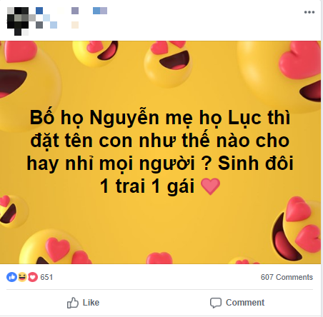 Biết chắc sẽ bị trêu, bố trẻ họ Nguyễn vợ họ Lục vẫn liều mình nhờ tổ tư vấn đặt tên cho cặp song sinh sắp chào đời - Ảnh 1.