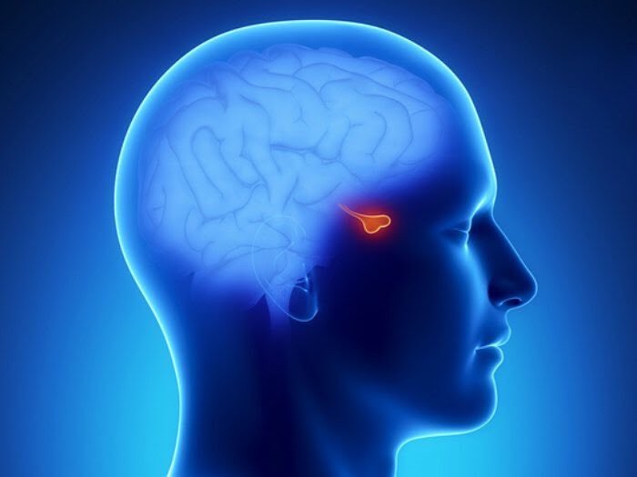 Giảm cân mãi không thành có thể là do bạn đã mắc phải một số căn bệnh tiềm ẩn sau - Ảnh 3. Giảm cân mãi không thành có thể là do bạn đã mắc phải một số căn bệnh tiềm ẩn sau - Ảnh 3.
