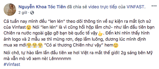 VinFast ra mắt xe thành công, đạt kỉ lục 1 triệu người xem cùng lúc! - Ảnh 13.