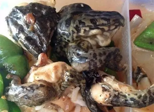 Dưa hấu xào chuối, da ếch... những món ăn kinh dị nhất ở canteen các trường ĐH Trung Quốc khiến sinh viên khiếp đảm - Ảnh 15.