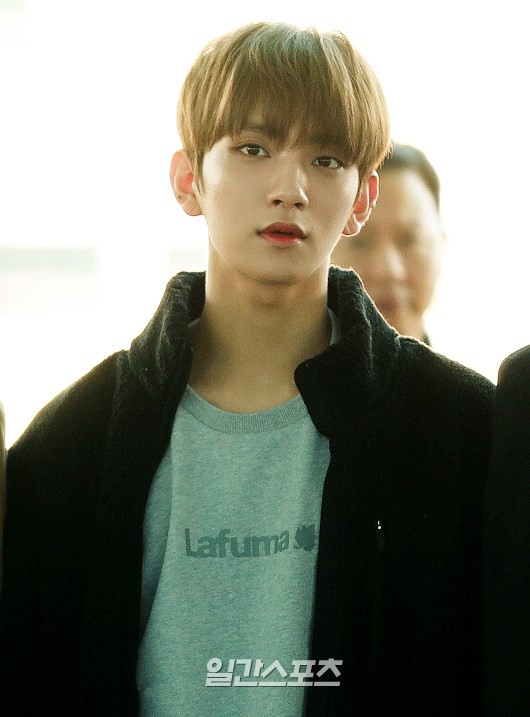 SEVENTEEN sang Việt Nam tham dự sự kiện giao lưu âm nhạc Hàn - Việt - Ảnh 8.