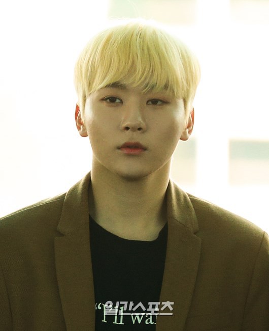 SEVENTEEN sang Việt Nam tham dự sự kiện giao lưu âm nhạc Hàn - Việt- Ảnh 7.