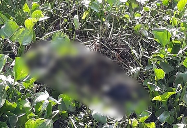 Hàng trăm người đứng kín trên cầu xem vớt xác nam thanh niên trôi sông Sài Gòn - Ảnh 1. Hàng trăm người đứng kín trên cầu xem vớt xác nam thanh niên trôi sông Sài Gòn - Ảnh 1.