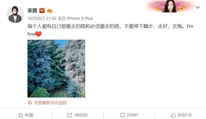 Trưởng nhóm f(x) lập tức đáp trả khi Sulli chia sẻ rời nhóm vì áp lực? - Ảnh 2.