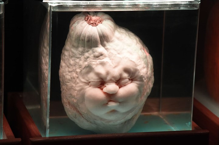 Những &yacute; tưởng chạm khắc b&iacute; ng&ocirc; đẹp độc v&agrave; dị cho m&ugrave;a Halloween - Ảnh 6.