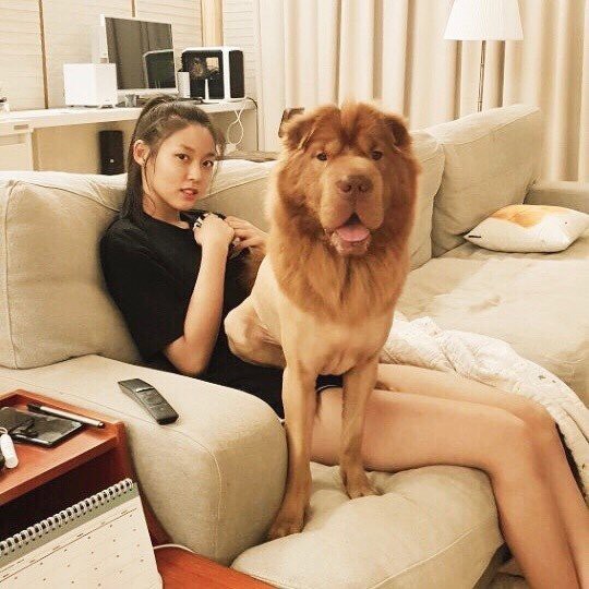 Seolhyun khoe mặt mộc xinh tươi nhưng tất cả những gì fan thấy chỉ là chú chó khổng lồ đáng yêu - Ảnh 2.