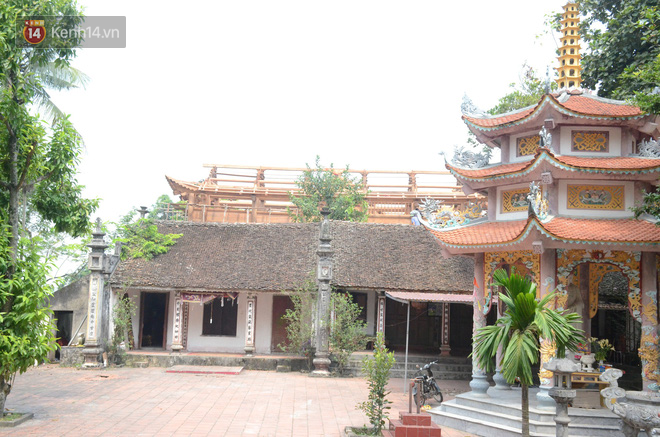 Ly kỳ chuyện c&acirc;y sưa gi&aacute; trăm tỷ ở H&agrave; Nội, người d&acirc;n mất ăn mất ngủ thay nhau canh giữ, mặc &aacute;o gi&aacute;p sắt để chống kẻ trộm - Ảnh 7.